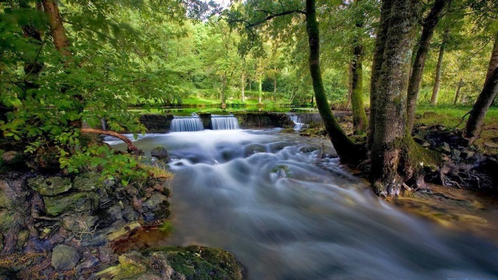 anh phong canh thien nhien lam hinh nen may tinh