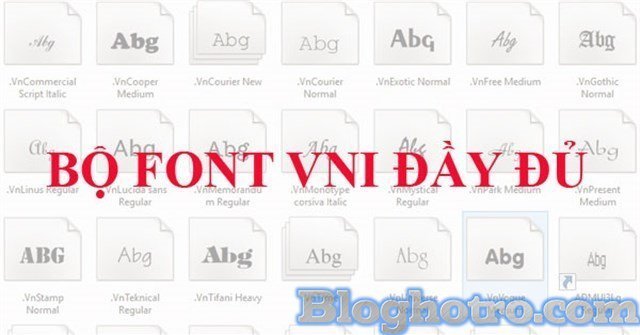 font vni