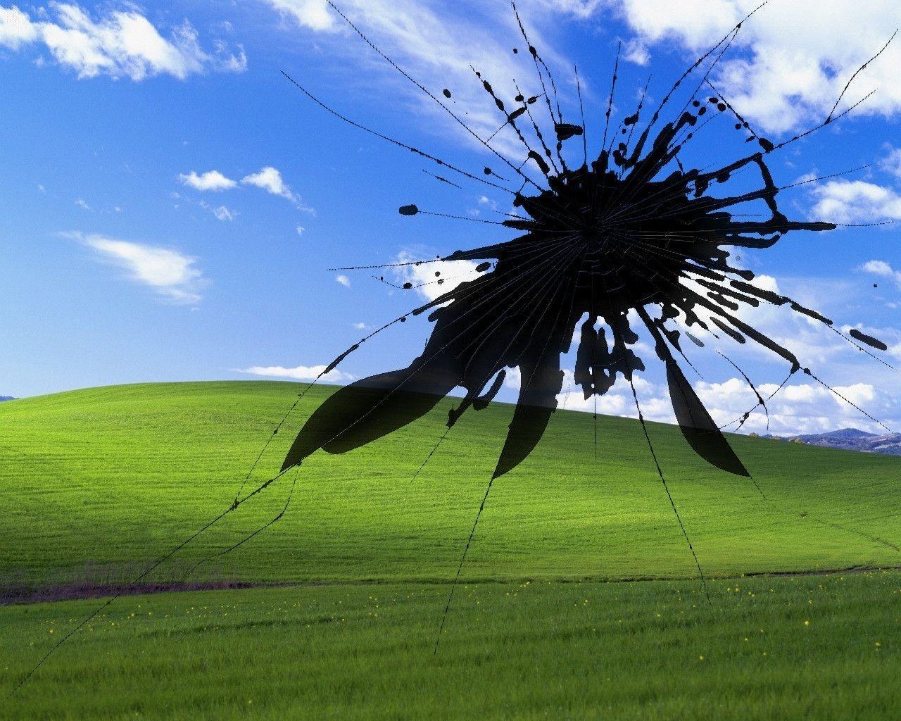 Hình ảnh: hinh nen windows xp 6