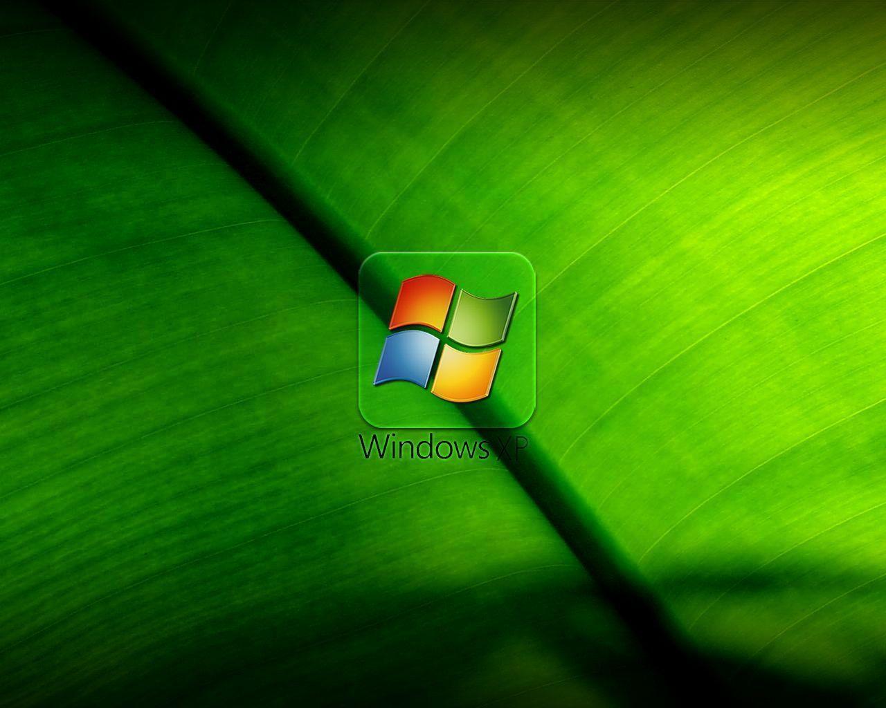 Hình ảnh: hinh nen windows xp 9