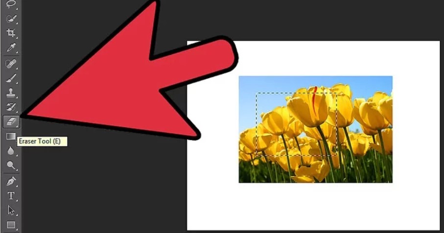 Hình ảnh: lam logo trong suot bang photoshop 7