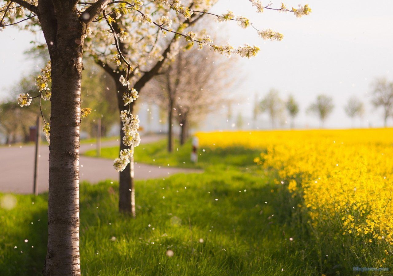 top hinh nen may tinh dep nhat the gioi