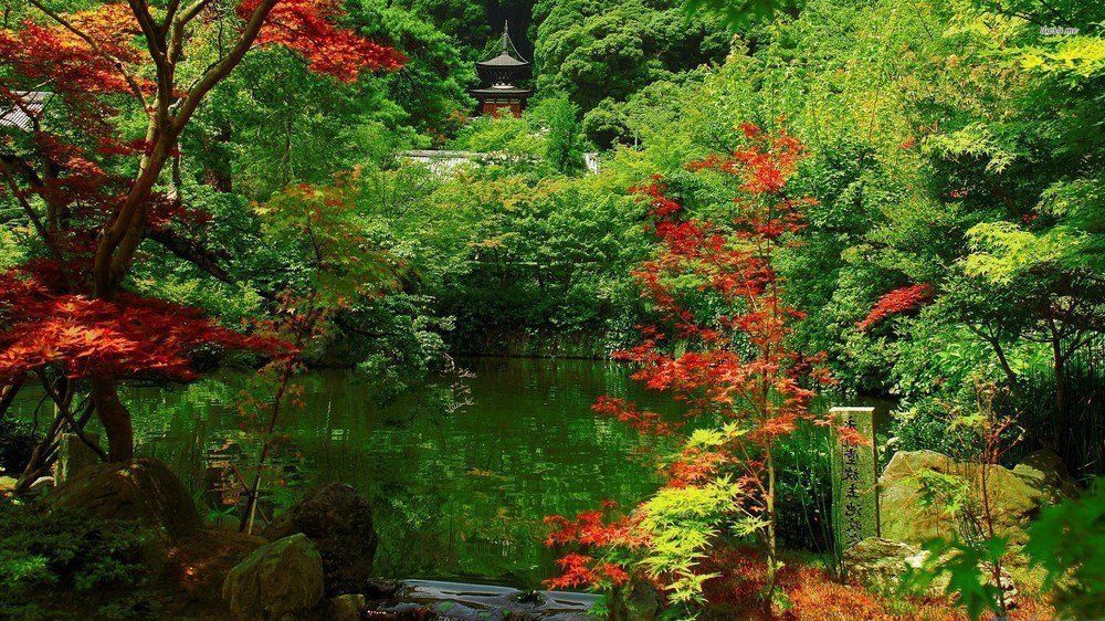 top hinh nen may tinh dep nhat the gioi