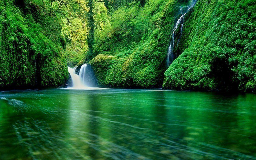 top hinh nen may tinh dep nhat the gioi