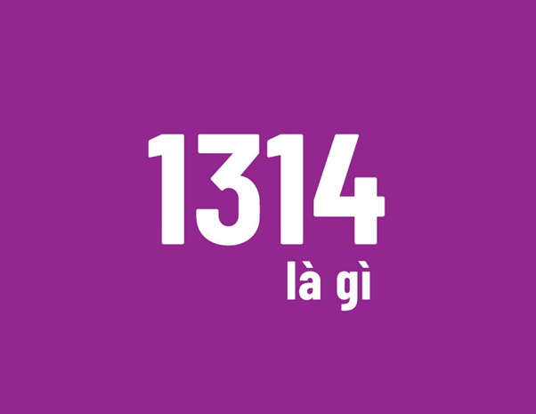 Giải đáp ý nghĩa: 1314 là gì