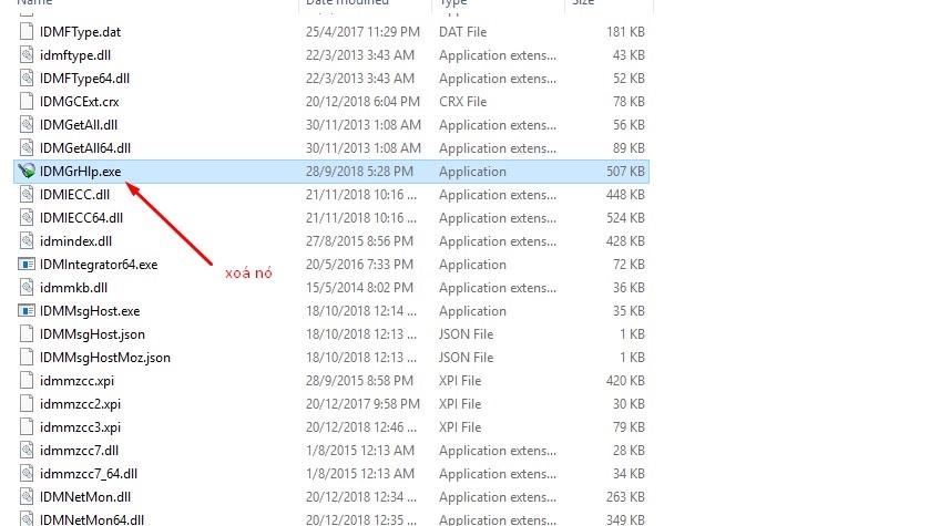 Internet Download Manager has been registered with a fake Serial Number 1