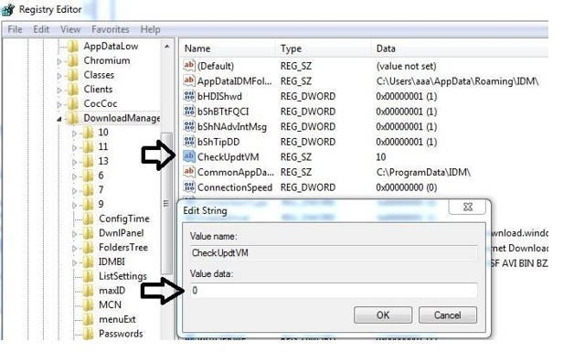 Internet Download Manager has been registered with a fake Serial Number 6