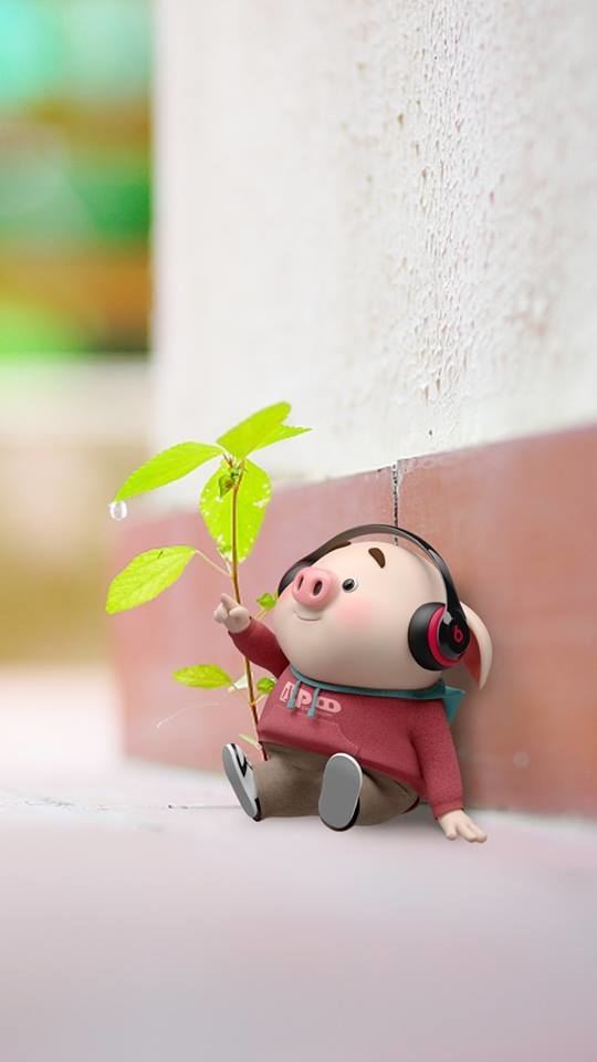 anh nen heo map dep 2