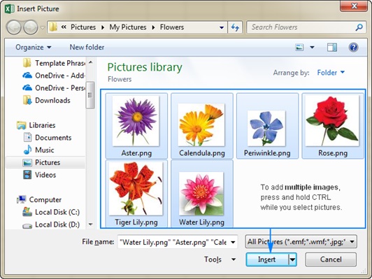 chen anh vao excel 1