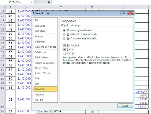 chen anh vao excel 10