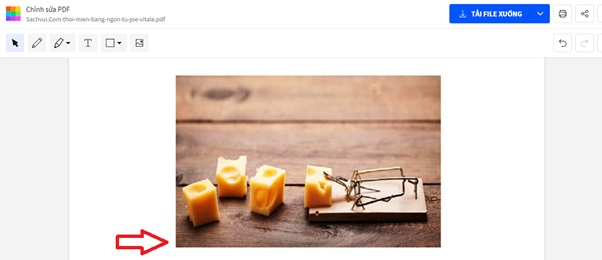 chen anh vao file pdf 8