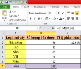 cong thuc tinh phan tram trong excel 1