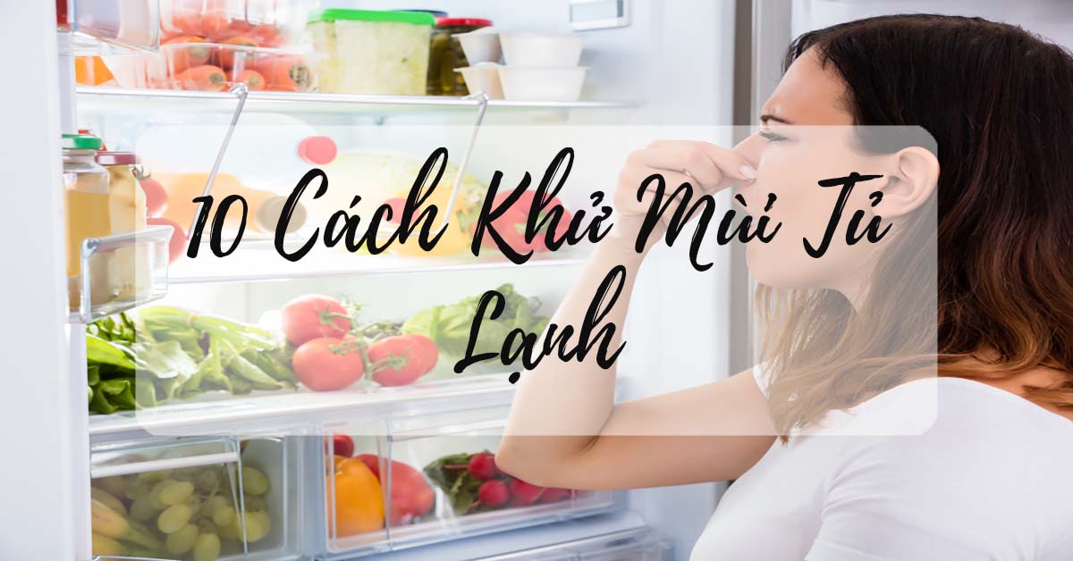 khu mui hoi tu lanh