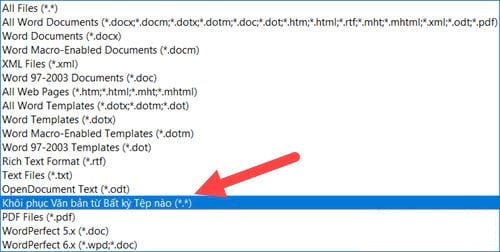 Ảnh minh hoạ: phục hồi file word bị mã hóa (7)