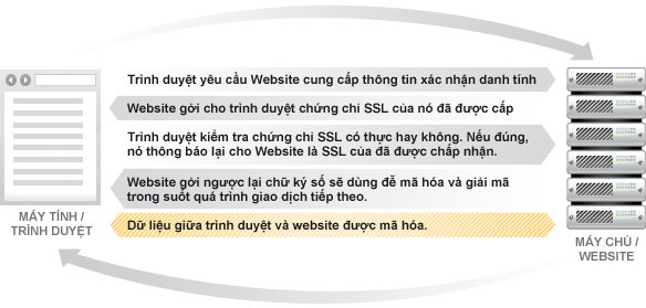 ssl la gi 2