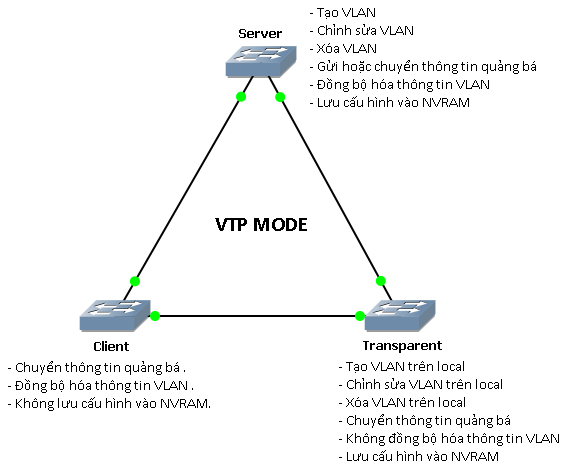 Ảnh minh hoạ: vtp là gì (1)