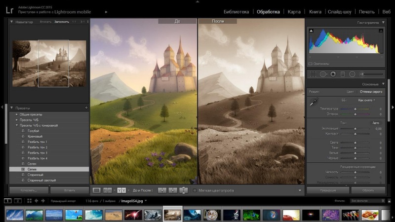 Ảnh minh hoạ: Phần mềm Lightroom (4)
