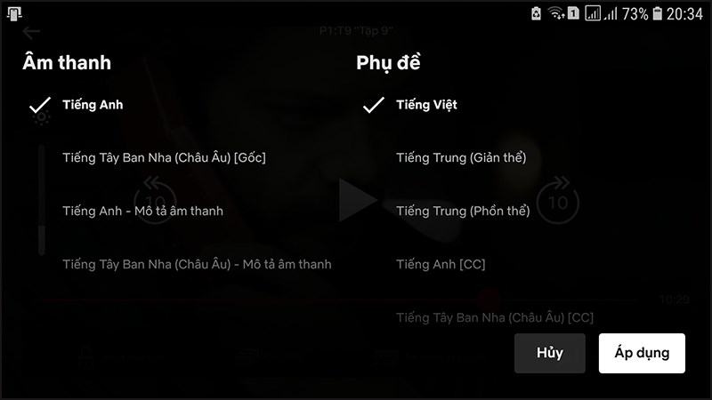 Ảnh minh hoạ: bật phụ đề tiếng việt trên netflix (4)