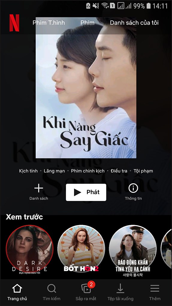 Ảnh minh hoạ: bật phụ đề tiếng việt trên netflix
