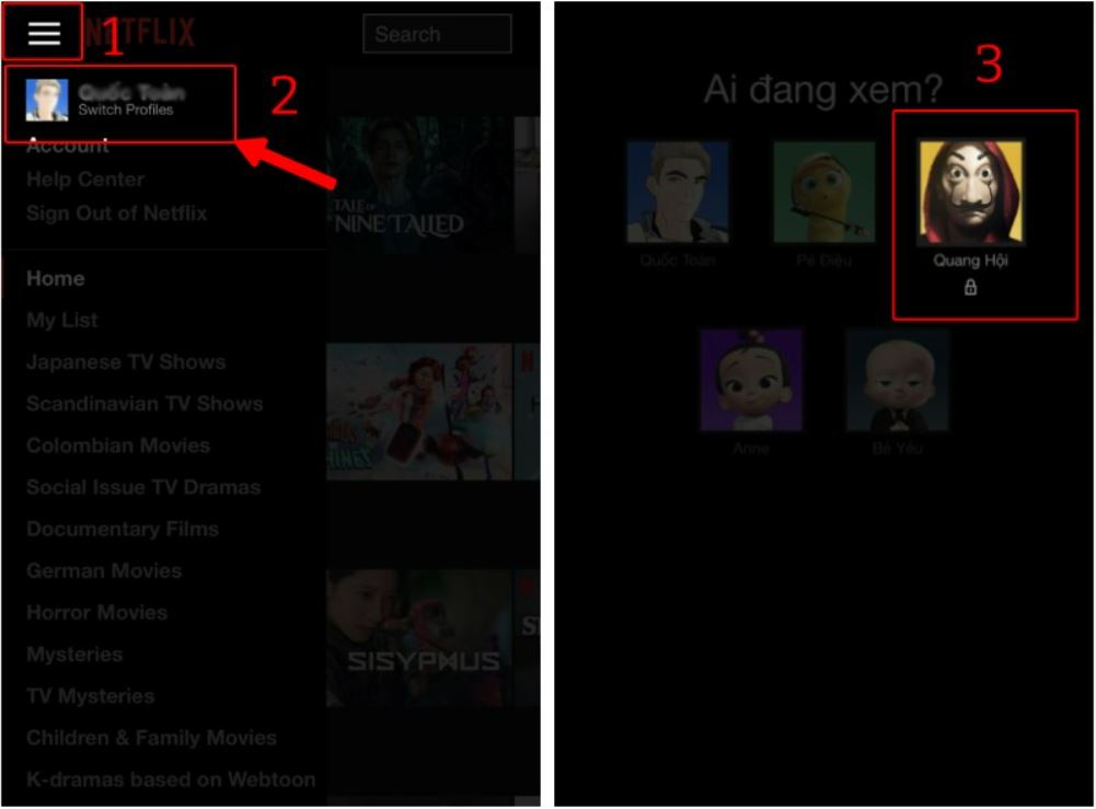Ảnh minh hoạ: chỉnh netflix sang tiếng việt trên điện thoại (1)