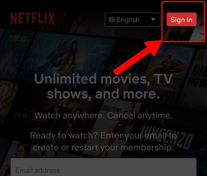 Ảnh minh hoạ: chỉnh netflix sang tiếng việt trên điện thoại