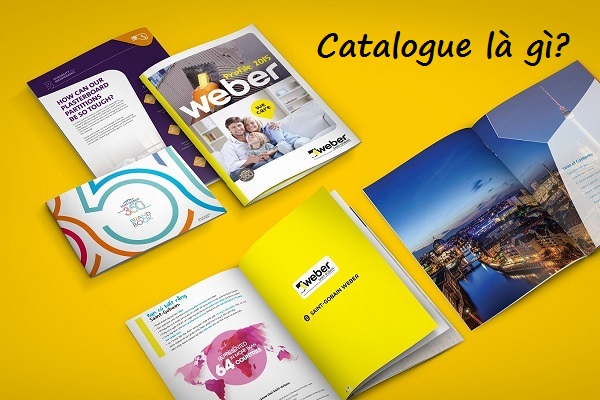 Ảnh minh hoạ: Catalogue là gì