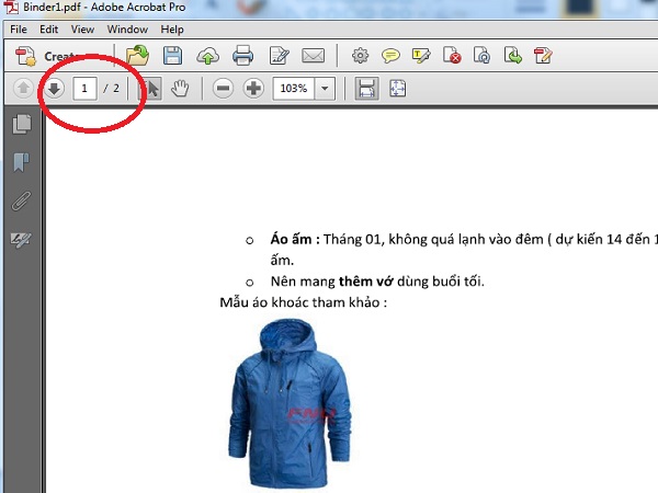Ảnh minh hoạ: Cách chỉnh sửa, cắt, ghép file pdf bằng Adobe Reader (5)