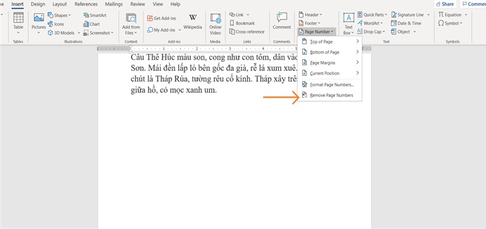 Ảnh minh hoạ: Cách bỏ đánh số trang trong word 2010 (1)