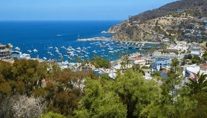 Ảnh minh hoạ: Quận Cam là gì (6)