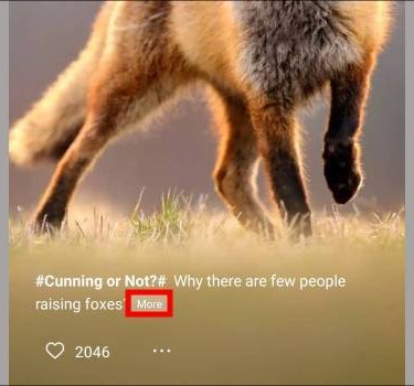 Ảnh minh hoạ: cài đặt tạp chí màn hình khóa trên Oppo (1)