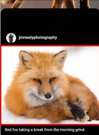 Ảnh minh hoạ: cài đặt tạp chí màn hình khóa trên Oppo (2)