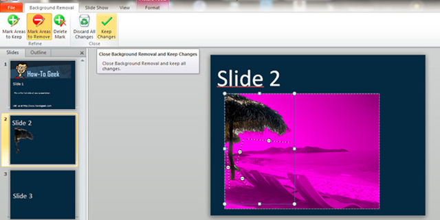 Ảnh minh hoạ: xóa nền ảnh trong powerpoint (3)