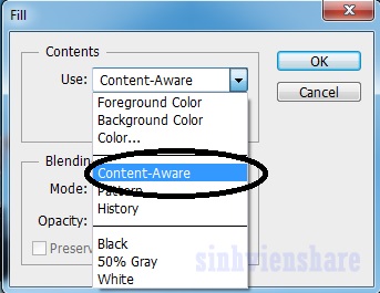 Ảnh minh hoạ: Cách xoá chữ trên ảnh bằng photoshop (2)