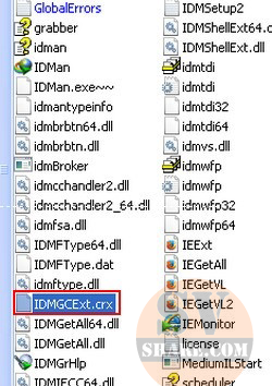 IDM không tự động bắt link download (1)